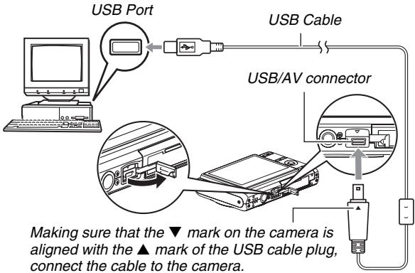 CASIO EXILIM EX-Z65 - IMPORTANT! - 1