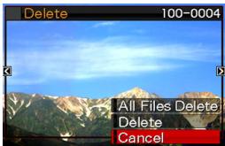 CASIO EXILIM EX-Z65 - Deleting a Specific File - 1
