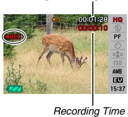 CASIO EXILIM EX-Z65 - Shooting a Movie - 1