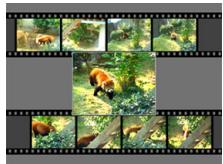 CASIO EXILIM EX-Z65 - Creating a Snapshot of a Movie Frame (MOTION PRINT) - 1
