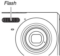 CASIO EXILIM EX-Z65 - IMPORTANT! - 1