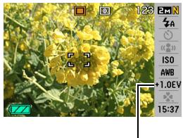 CASIO EXILIM EX-Z65 - Correcting Image Brightness (EV Shift) - 1