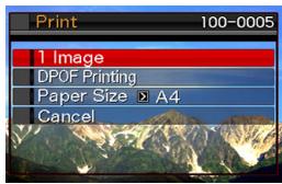 CASIO EXILIM EX-Z65 - ■ Printing on a Printer that Supports PictBridge or USB DIRECT-PRINT - 3