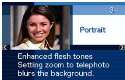 CASIO EXILIM EX-Z65 - Displaying Detailed Information about a BEST SHOT Scene - 1