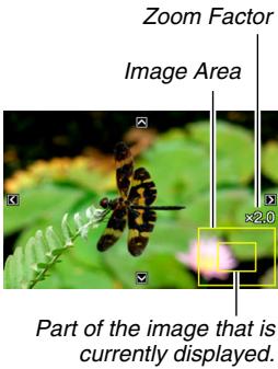 CASIO EXILIM EX-Z65 - Zooming the Displayed Image - 1