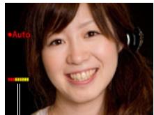 CASIO EXILIM EX-Z650 - ■ To use Detect Blur to minimize image blur (Detect Blur) - 3