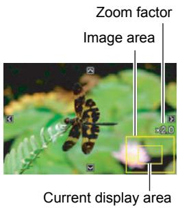 CASIO EXILIM EX-Z80 - Zooming an On-screen Image - 1