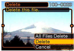 CASIO EXZ6-EX-Z7 - Deleting a Single File - 1