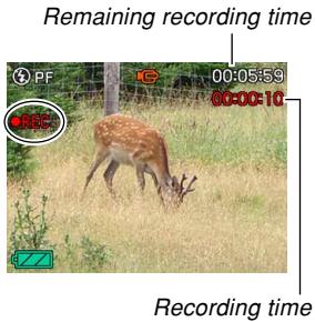 CASIO EXZ6-EX-Z7 - Recording a Movie - 1