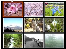CASIO EXZ6-EX-Z7 - Displaying the 9-image View - 1