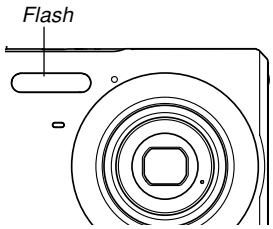CASIO EXZ6-EX-Z7 - ■ Flash Precautions - 1