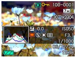 CASIO EXZ6-EX-Z7 - Changing the Contents of the Monitor Screen - 7
