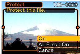 CASIO EXZ6-EX-Z7 - To protect a single file - 1