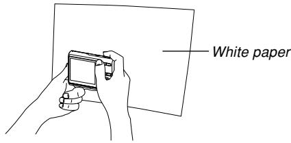 CASIO EXZ6-EX-Z7 - Use [▲] and [▼] to select "Manual". - 2