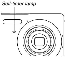 CASIO EXZ6-EX-Z7 - Press the shutter button to record the image. - 1