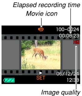 CASIO EXZ6-EX-Z7 - Playing a Movie - 1