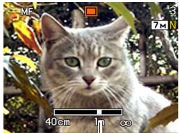 CASIO EXZ6-EX-Z7 - Using Manual Focus - 2