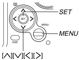 SET MENU MENU DISP [∧][∨][⩽][>]
