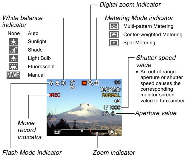White balance indicator None Auto Sunlight Shade Light Bulb Fluorescent MWB Manual Digital zoom indicator Metering Mode indicator Multi-pattern Metering Center-weighted Metering Spot Metering Shutter speed value An out of range aperture or shutter speed causes the corresponding monitor screen value to turn amber. Aperture value Movie record indicator Flash Mode indicator Zoom indicator