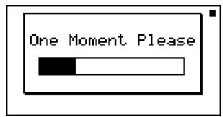 CASIO FX-9860GSD - Result Screen - 1