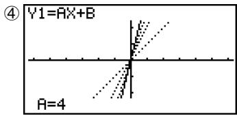 CASIO FX-9860GSD - Result Screen - 3