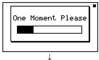 CASIO FX-9860GSD - Result Screen - 1