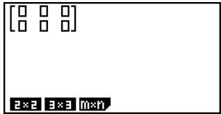 CASIO FX-9860GSD - - To specify the dimensions (size) of a matrix - 3