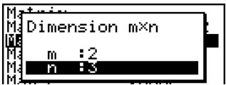 CASIO FX-9860GSD - - To specify the dimensions (size) of a matrix - 3