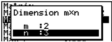 CASIO FX-9860GII - - To specify the dimensions (size) of a matrix - 6