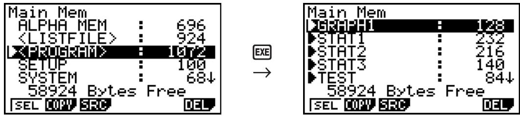 CASIO FX-9860GII - Selecting Data - 2