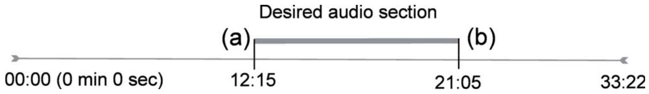 ARCHOS AV700 - Audio Editing - 1