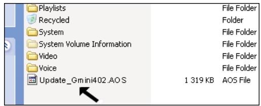ARCHOS GMINI 402 - Copy to Gmini™ 402 root and Update - 1
