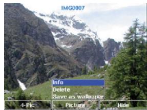 ARCHOS GMINI 402 - Viewing Photos - 4