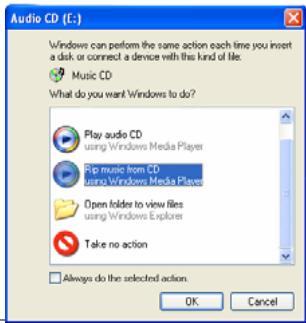 ARCHOS PMA 400 - Synchronizing Music from Windows Media® Player (WMP) 10 to the PMA430 - 3