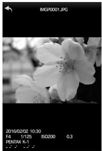 PENTAX K-1 - Visualisation des images - 2
