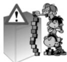 SMEG BLV1R - Safety and operating instructions - 10