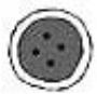TOYOTA SPB15 - Others - 2