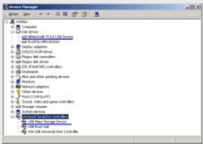 MPMAN MP-FOL8 - 2. Installing USB Driver (8) - Confirmation - 1