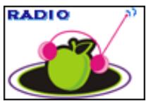 MPMAN MP-CL2 - Entering and exiting the FM radio - 1