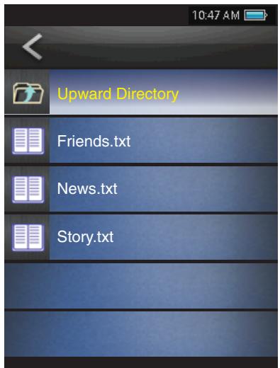 MPMAN TS 302 - Text Browser Controls - 1