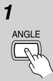 ONKYO DV-SP303E - Switching camera angles - 2