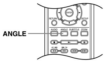 ONKYO DV-SP303E - Switching camera angles - 1