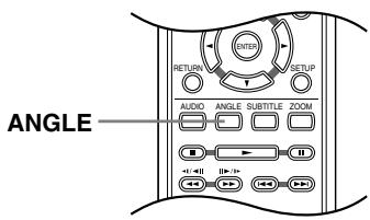 ONKYO DV-SP404E - Switching camera angles - 1