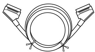 ONKYO DV-SP502E - RI cable (0.8 m) - 1