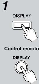 ONKYO DV-SP504 - Visualizar información - 1