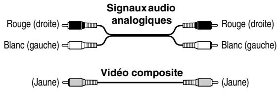 ONKYO DV-SP504 - Code de couleurs des prises RCA pour appareils AV - 1