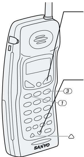 SANYO CLT-9960 - Viewing the Caller ID list - 1