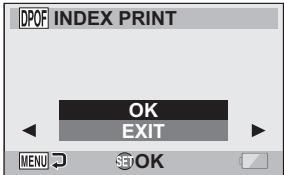 SANYO VPC-HD1000 - Index print - 1