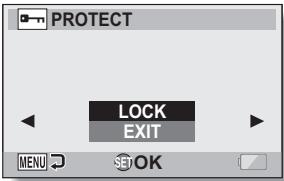 SANYO VPC-HD1000 - FILE PROTECT - 1