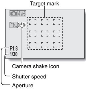 SANYO VPC-HD1000 - What is the camera focusing on? - 1